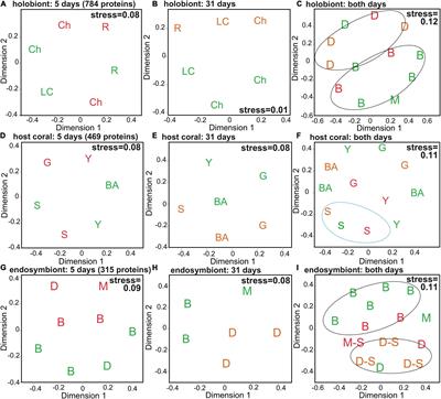 Shotgun Proteomic Analysis of Thermally Challenged Reef Corals